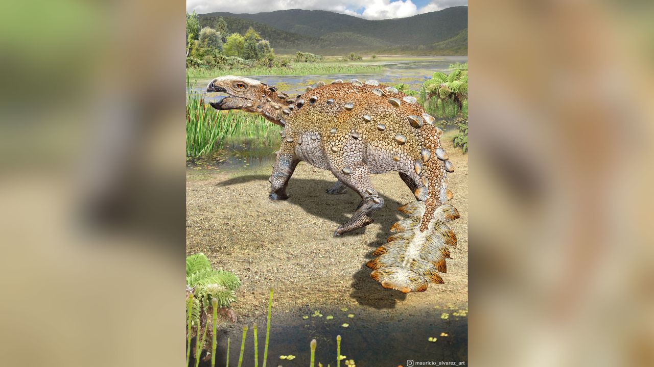 An artist's impression of a new species of armoured dinosaur named Stegouros elengassen. Paleoartist credit: Mauricio Álvarez