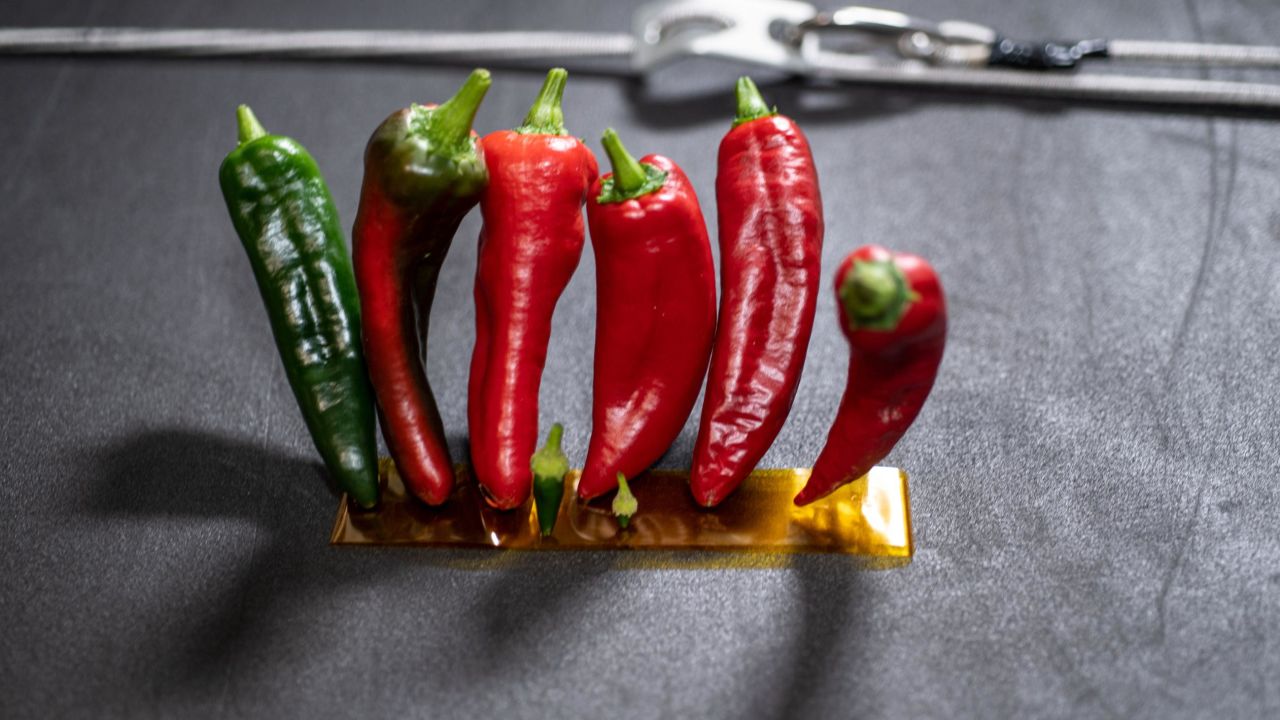 Astronauts ate these fresh peppers after the second harvest.