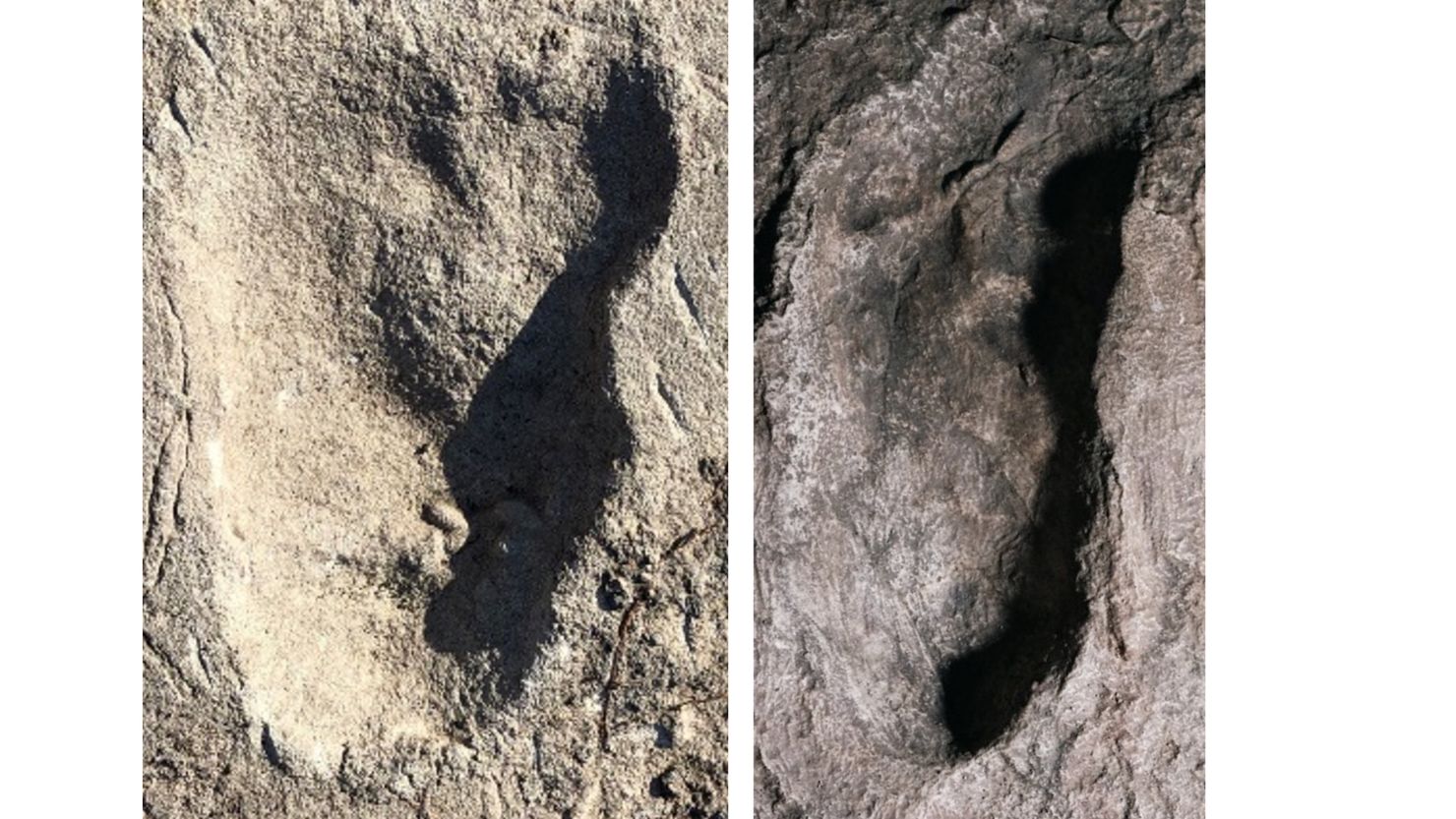 A footprint from Laetoli site A, left, that researchers say belongs to a previously unknown type of hominin. On the right is an image of a cast of a footprint belonging to  Australopithecus afarensis.   