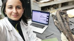 Doctoral candidate Dirley Cortés analyzed the ichthyosaur's skull to determine it was incorrectly classified.