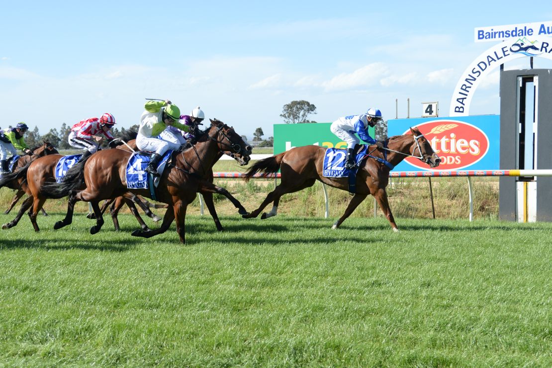 Caserta wins at Bairnsdale Racecourse in November 2020. 