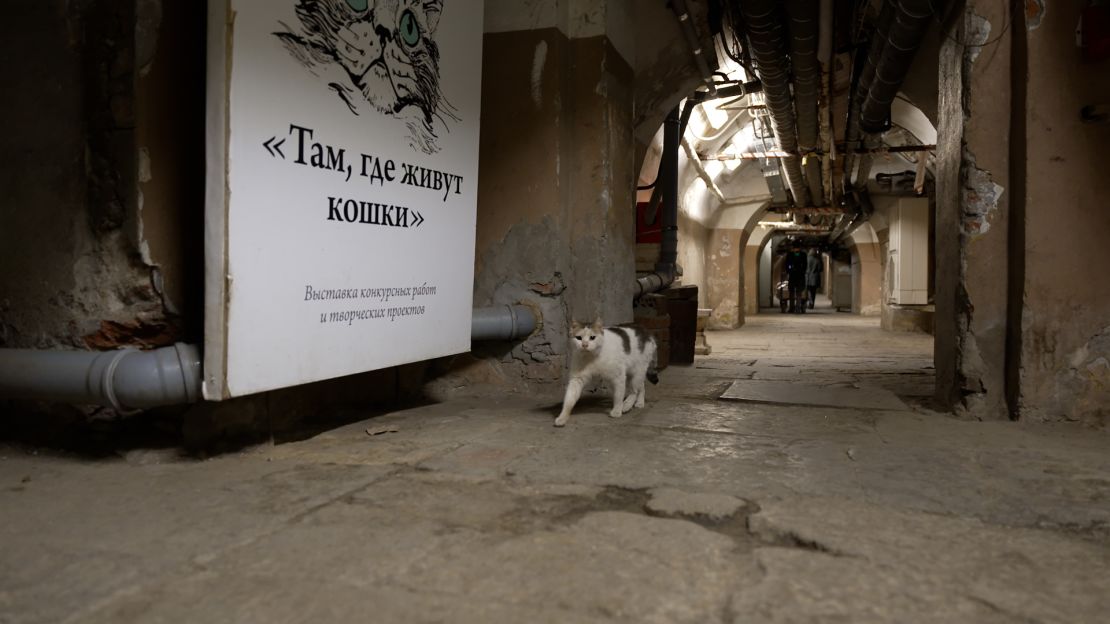 A cat prowls the basement of the museum, looking for mice.