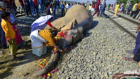 Villagers pay tribute to one of two elephants who died after they were hit by a train in Morigaon, India, on Wednesday, December 1.