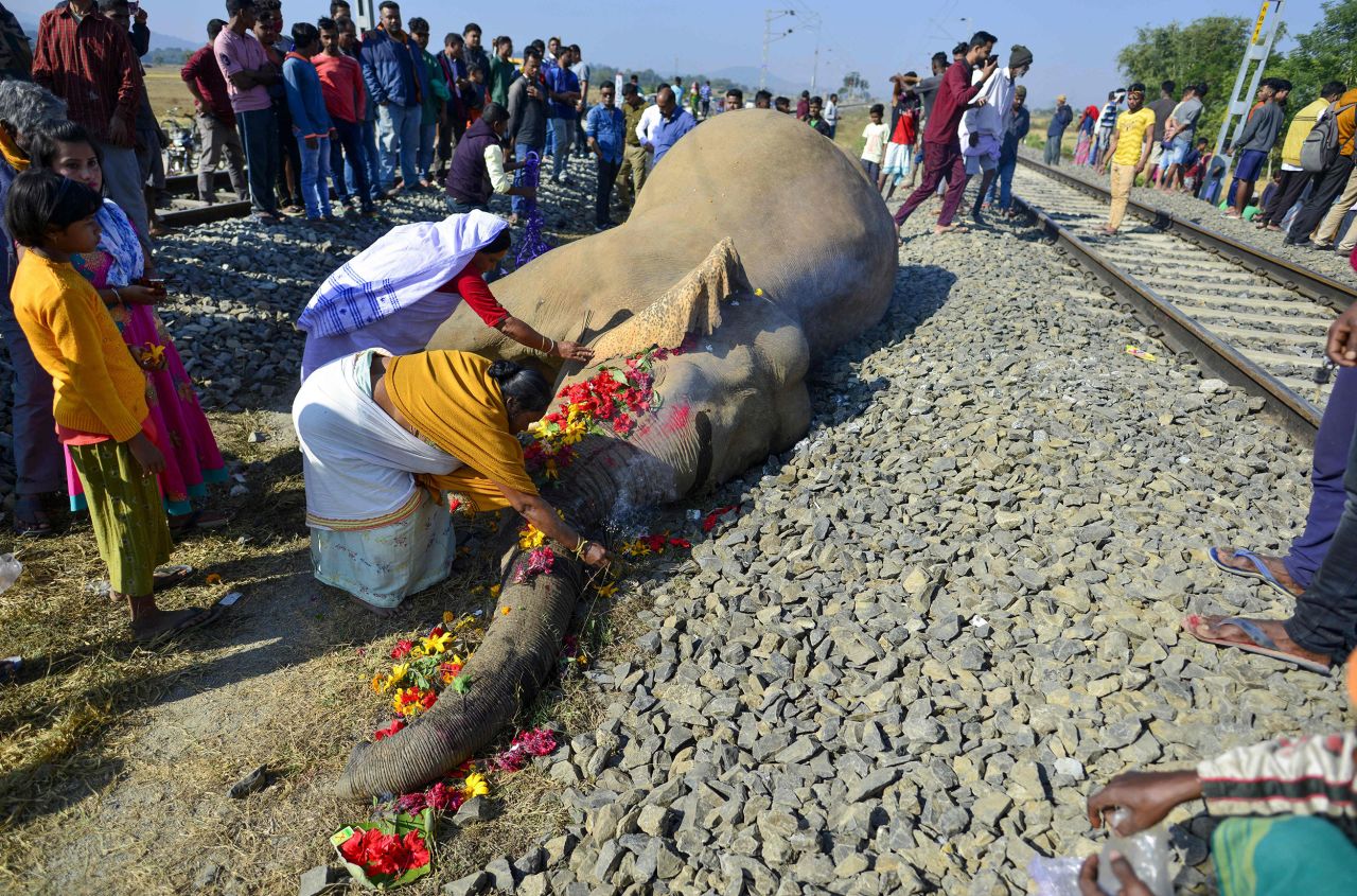 Villagers pay tribute to one of two elephants who died after they were hit by a train in Morigaon, India, on Wednesday, December 1.