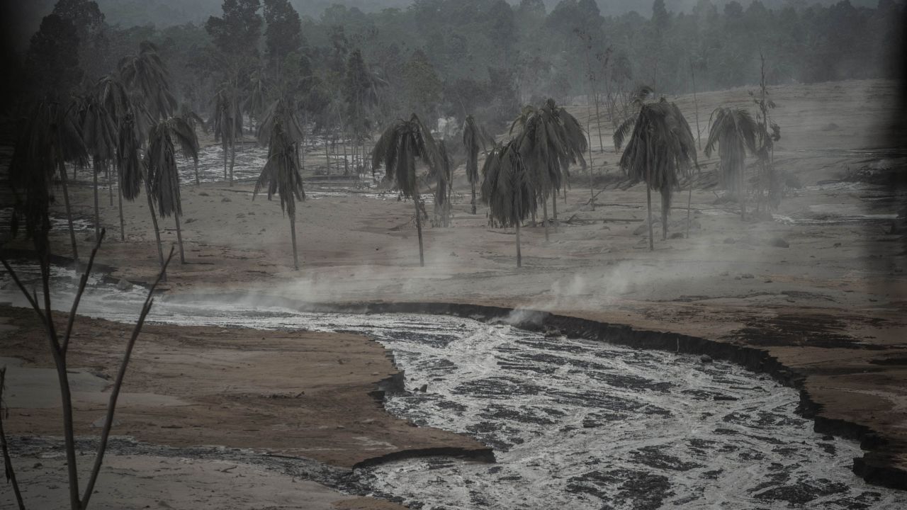 Volcanic ash blankets trees and the ground at Sumber Wuluh village in Lumajang on December 5.