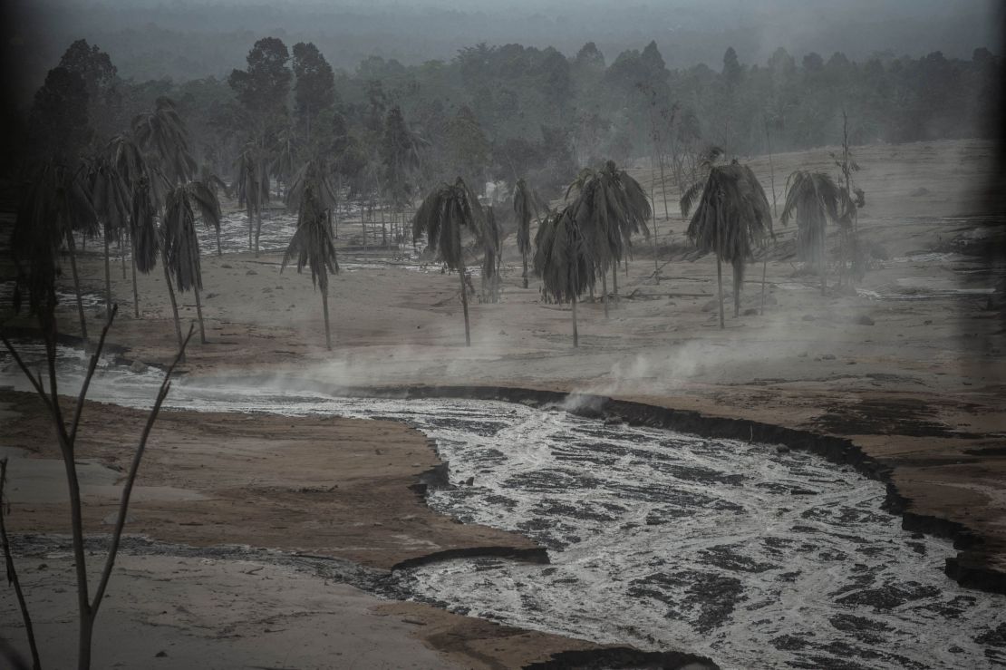 Volcanic ash blankets trees and the ground at Sumber Wuluh village in Lumajang on December 5.