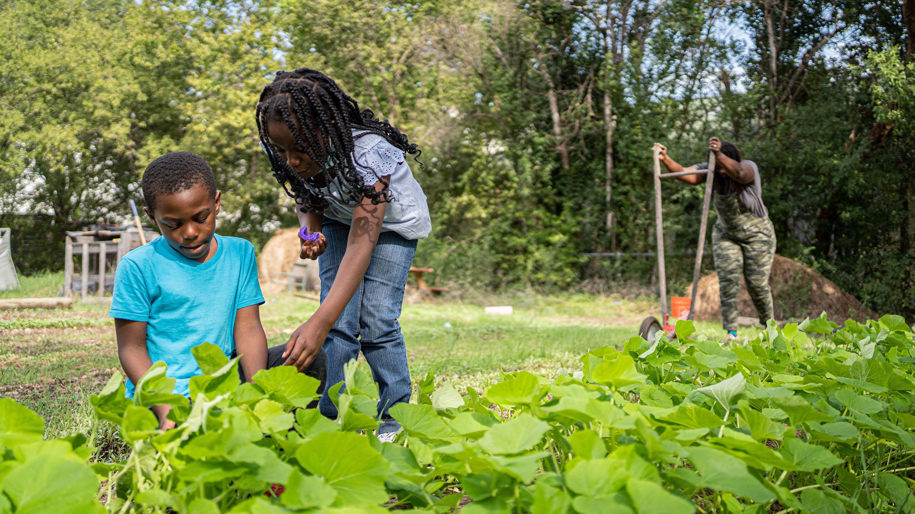 Black farmers have 'been in survival mode' | CNN Politics
