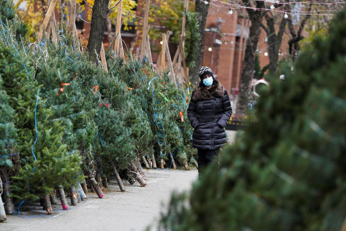 These Christmas trees may improve your health