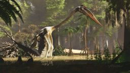 02 pterosaur quetzalcoatlus reptile flying scn