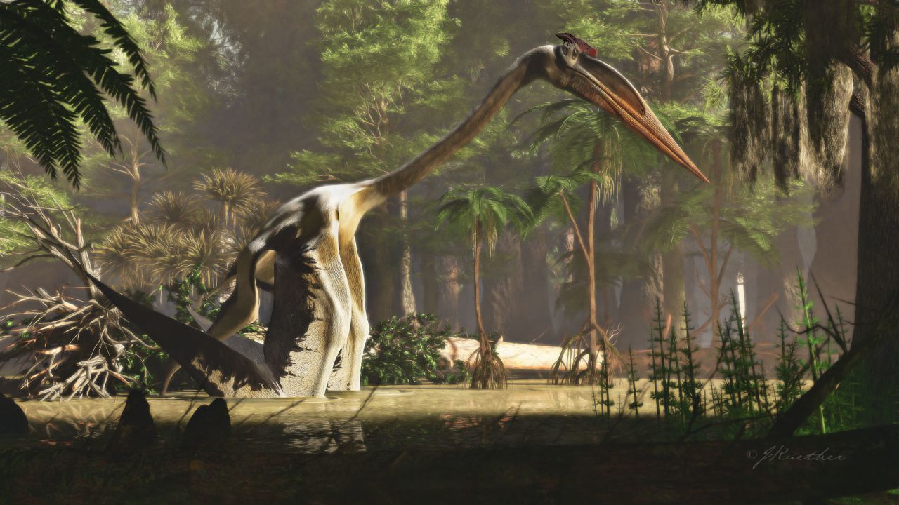 That's one giant reptile. The pterosaur Quetzalcoatlus is depicted in this artist's illustration.
