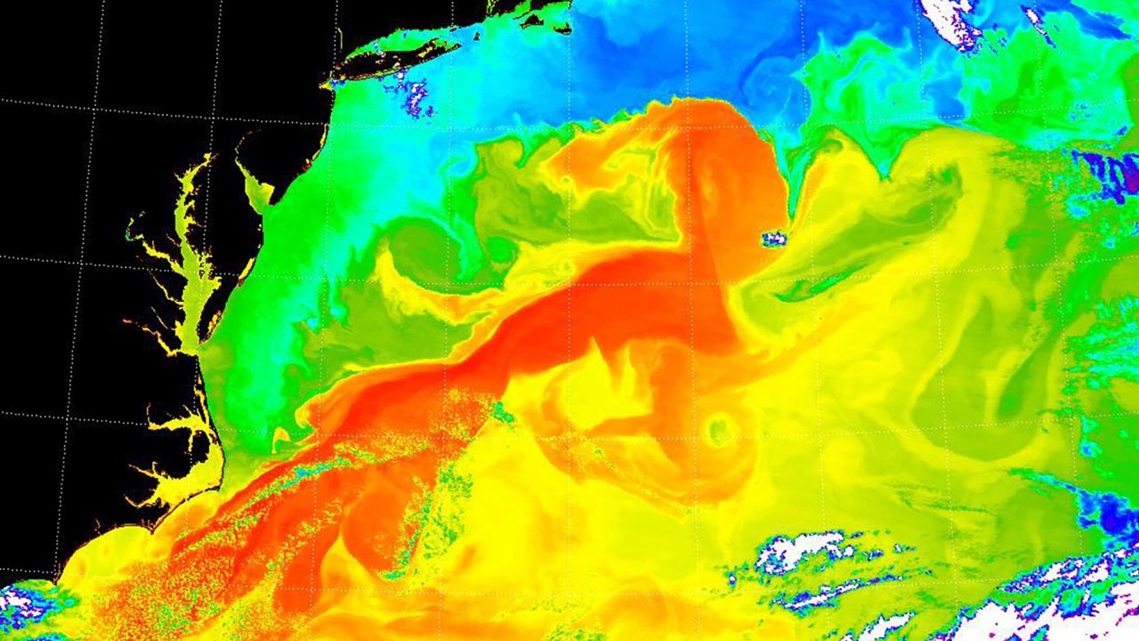 Warm temperatures, indicated in red, show the location of the Gulf Stream