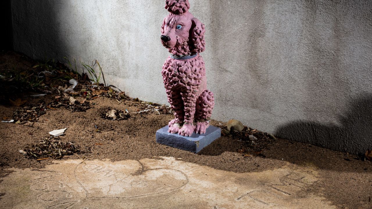 A statue of a dog sits next to a memorial plaque at a playground dedicated to Charlotte Bacon in West Haven, Connecticut.