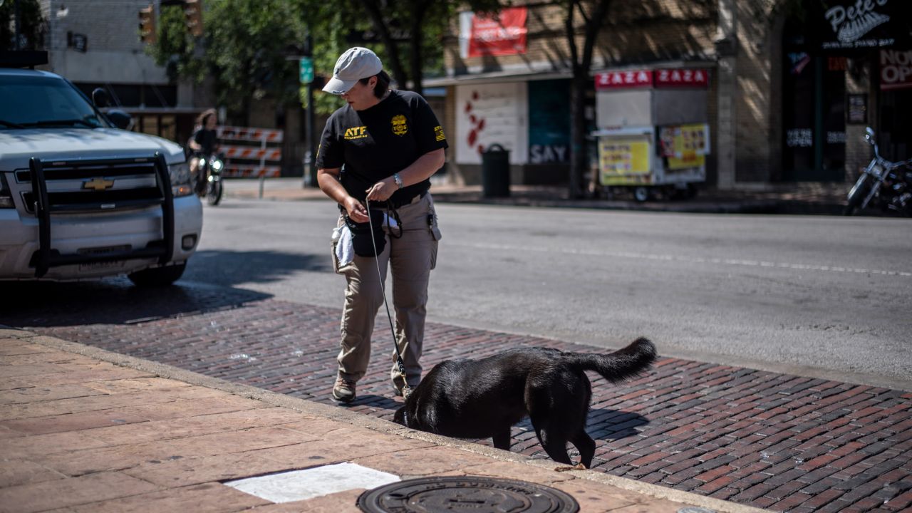  An ATF K9 unit surveys the area near the scene of a mass shooting on June 12, 2021, in Austin, Texas. Austin has recorded 88 homicides so far this year. 