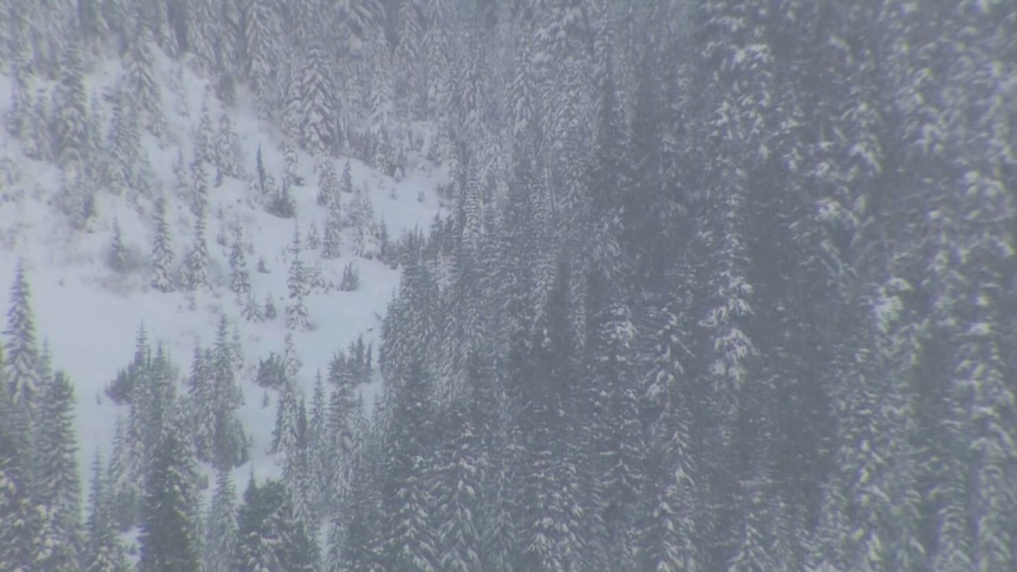Skiers triggered an avalanche that killed one person Saturday, Crystal Mountain Ski Resort said. 