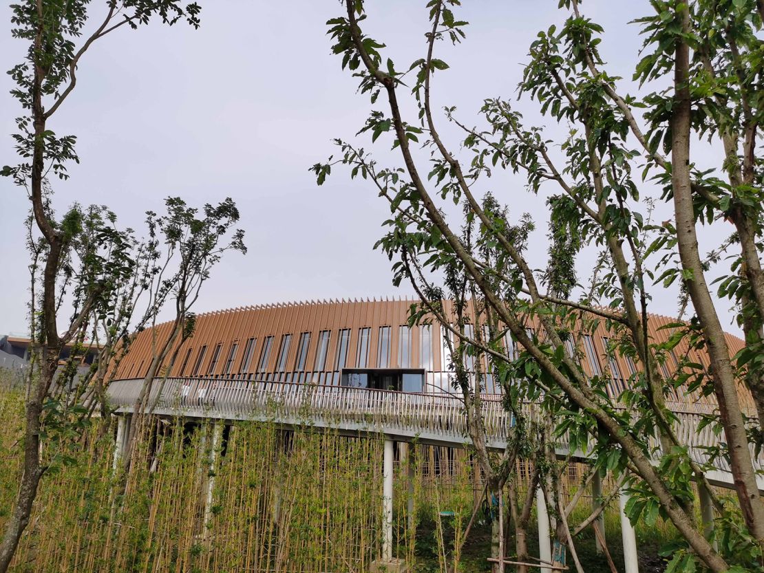 The new Panda Pavilion at the Chengdu Research Base of Giant Panda Breeding will open early next year.