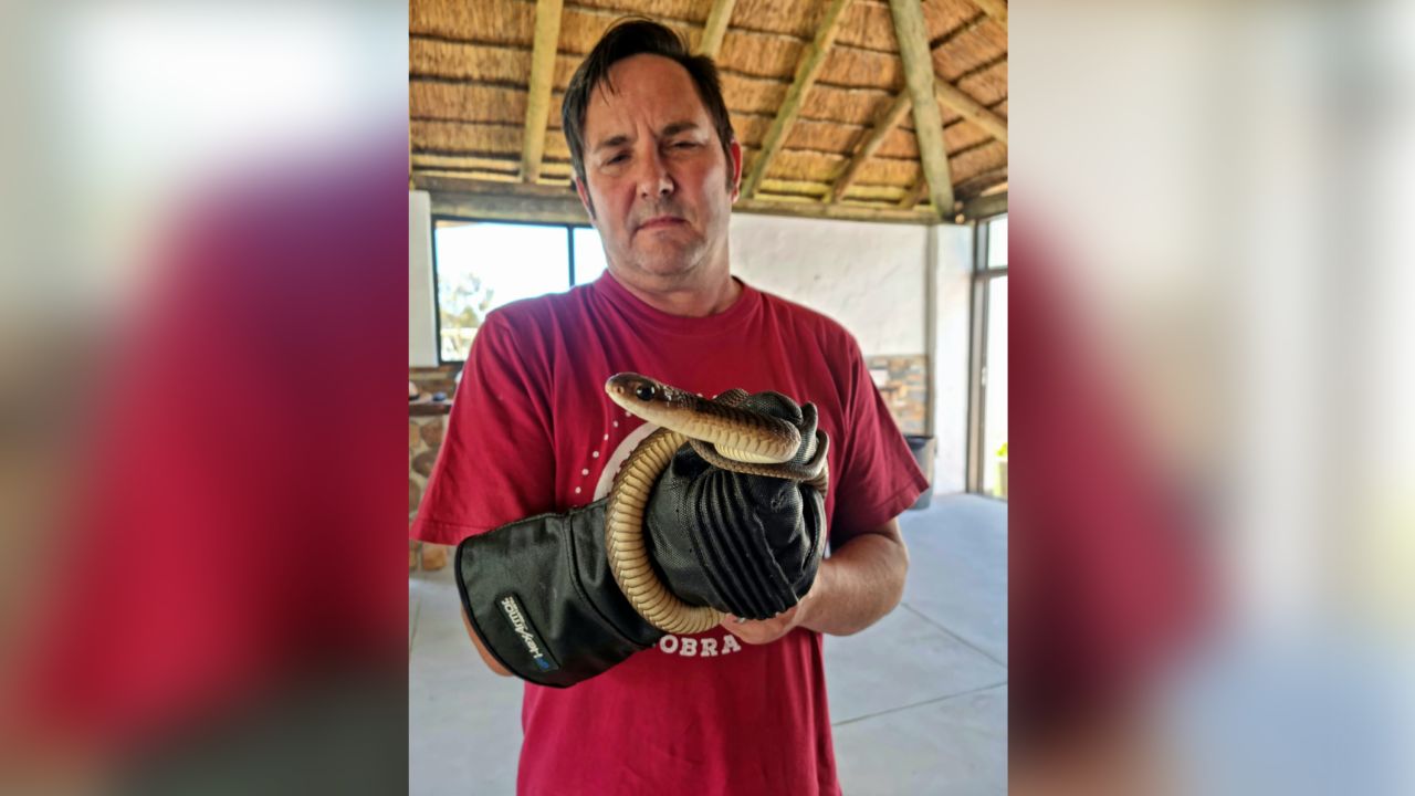 Snake catcher Gerrie Heyns recovered the animal from the family's tree. 