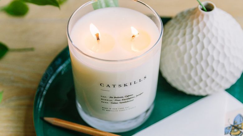 winter brooklyncandlecatskill