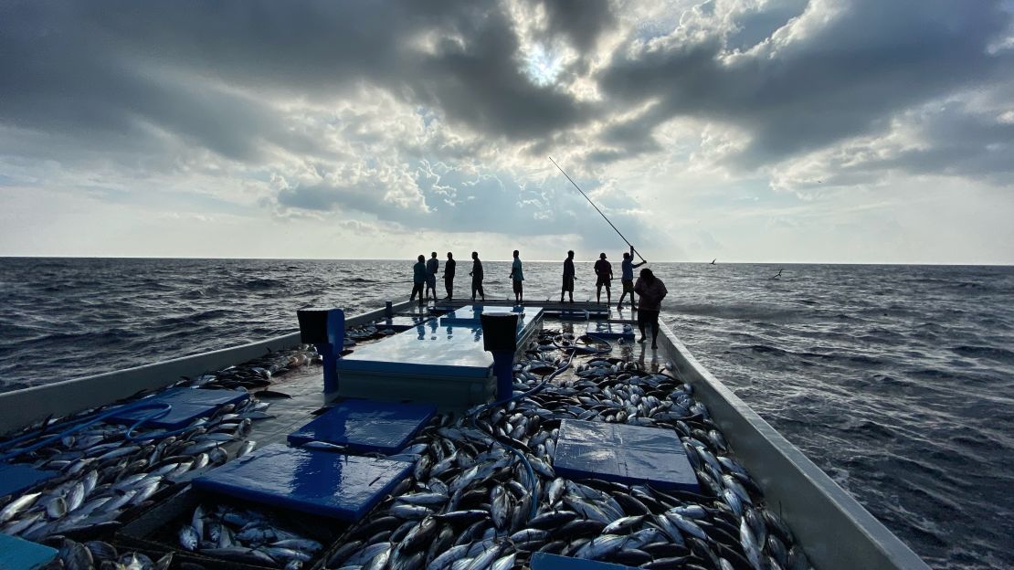 Pole and line fishing from a boat in the Maldives.