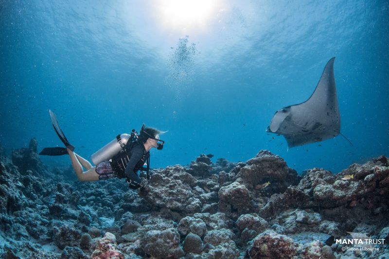 The Women Working To Save The World S Largest Manta Ray Population CNN   211216002227 04 Reef Manta Rays Restricted 