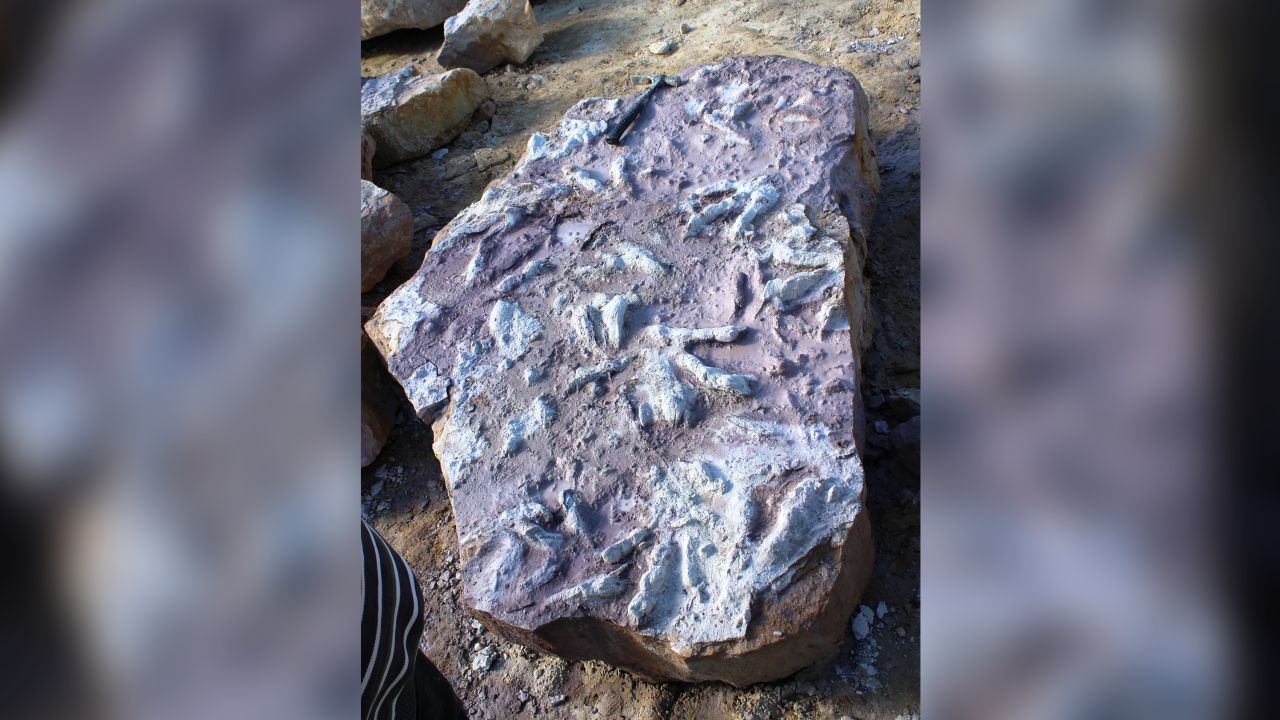 Geologists discovered hundreds of dinosaur footprints.