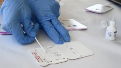 A rapid COVID-19 test swab is processed at Palos Verdes High School in Palos Verdes Estates, Calif., on Aug. 24, 2021.