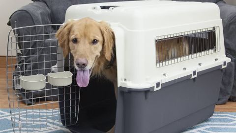 Sport Pet approved to fly dog ​​cage