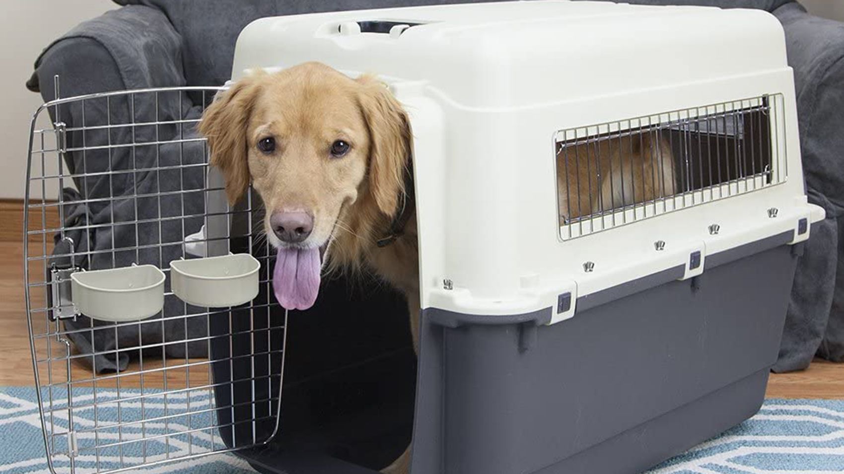 Simple Pet Carrier Tips for Traveling with a Dog - Traveling With A Dog