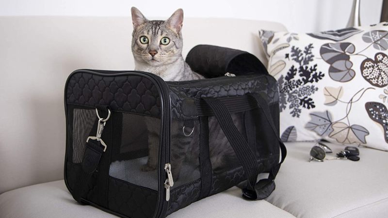 Amazon prime cat outlet carrier