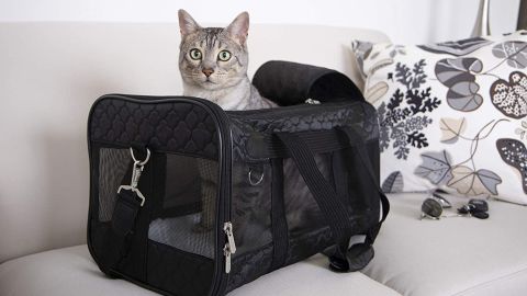 Sherpa Original Deluxe Airline Approved Pet Carrier