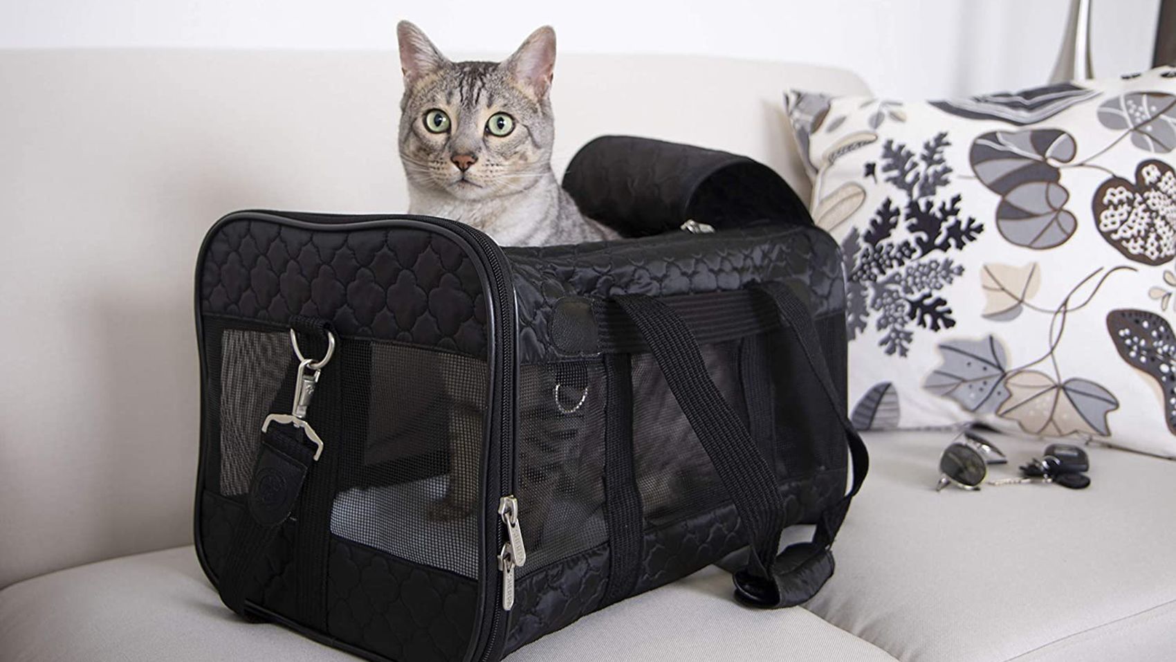 The Best Cat Carriers, According to Cat Parents