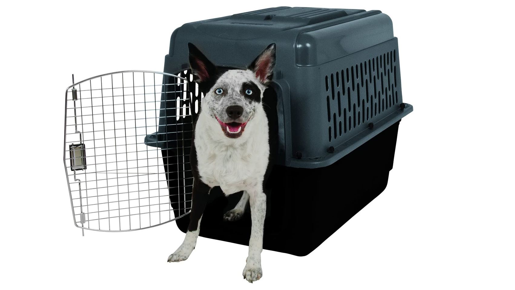 what is the best dog carrier for flying