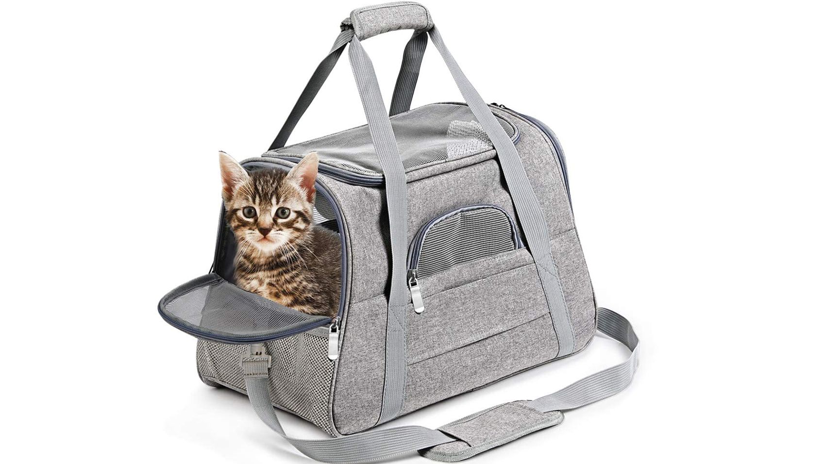 15 Of The Best Pet Carriers You Can Get On