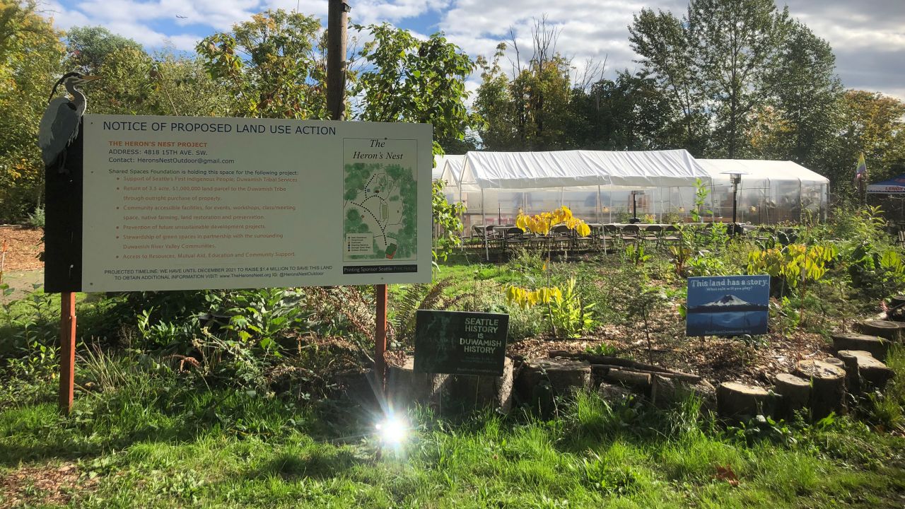 Over the last year, the Shared Spaces Foundation, a local nonprofit, has worked to rehabilitate a plot of land before repatriating it to the Duwamish tribe.