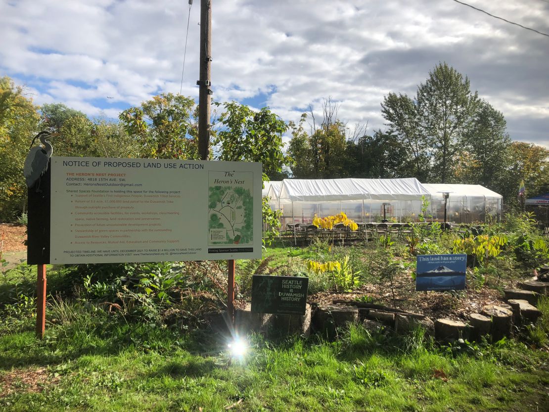 Over the last year, the Shared Spaces Foundation, a local nonprofit, has worked to rehabilitate a plot of land before repatriating it to the Duwamish tribe.