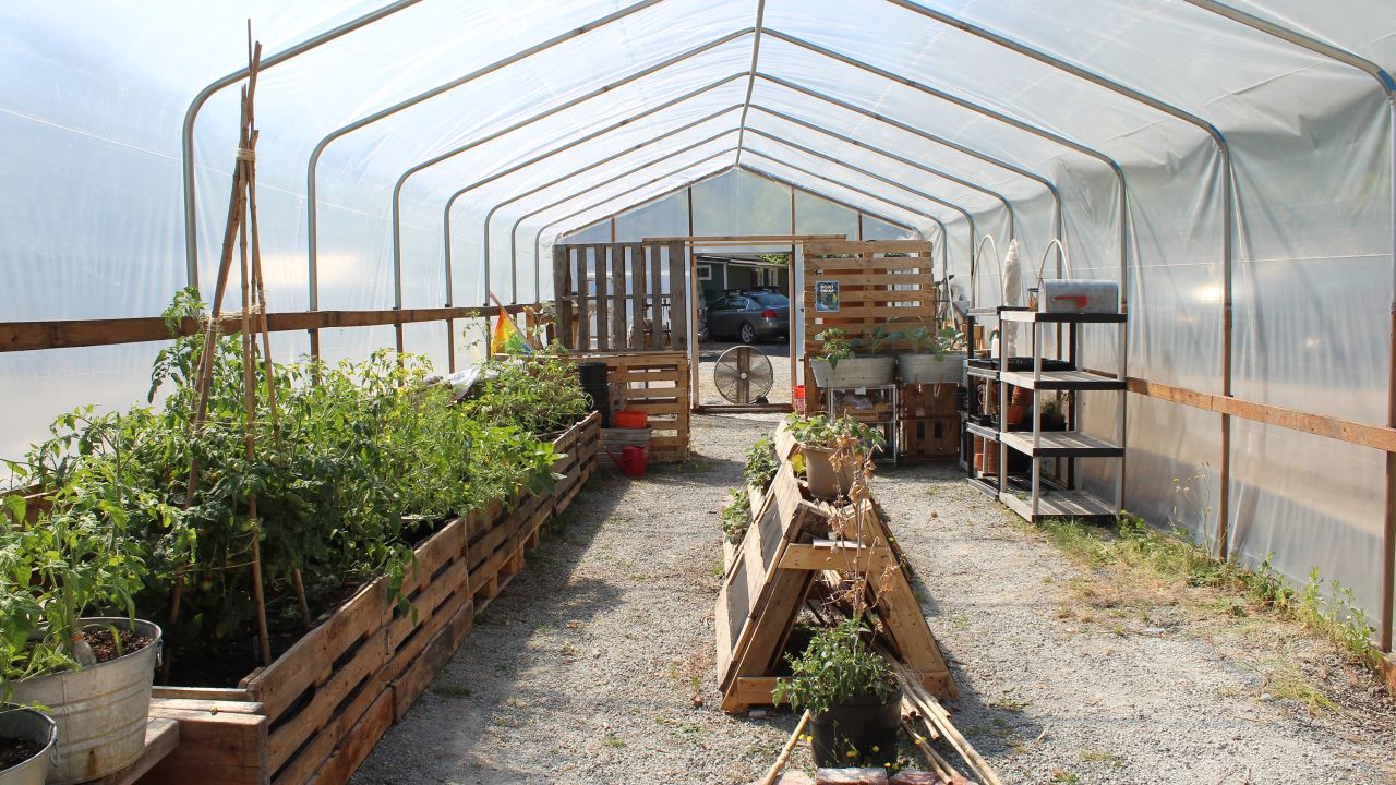 The Shared Spaces Foundation has built a greenhouse on the parcel of land that it plans to repatriate to the Duwamish tribe.