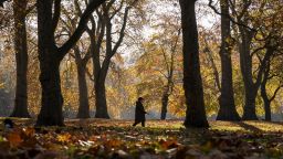 LONDON, UNITED KINGDOM - NOVEMBER 23: A woman walks beneath autumnal leaves in St James's Park on November 23, 2021 in London, United Kingdom. (Photo by Dan Kitwood/Getty Images)