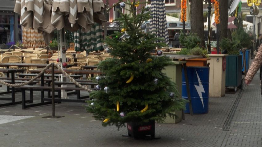 netherlands christmas tree