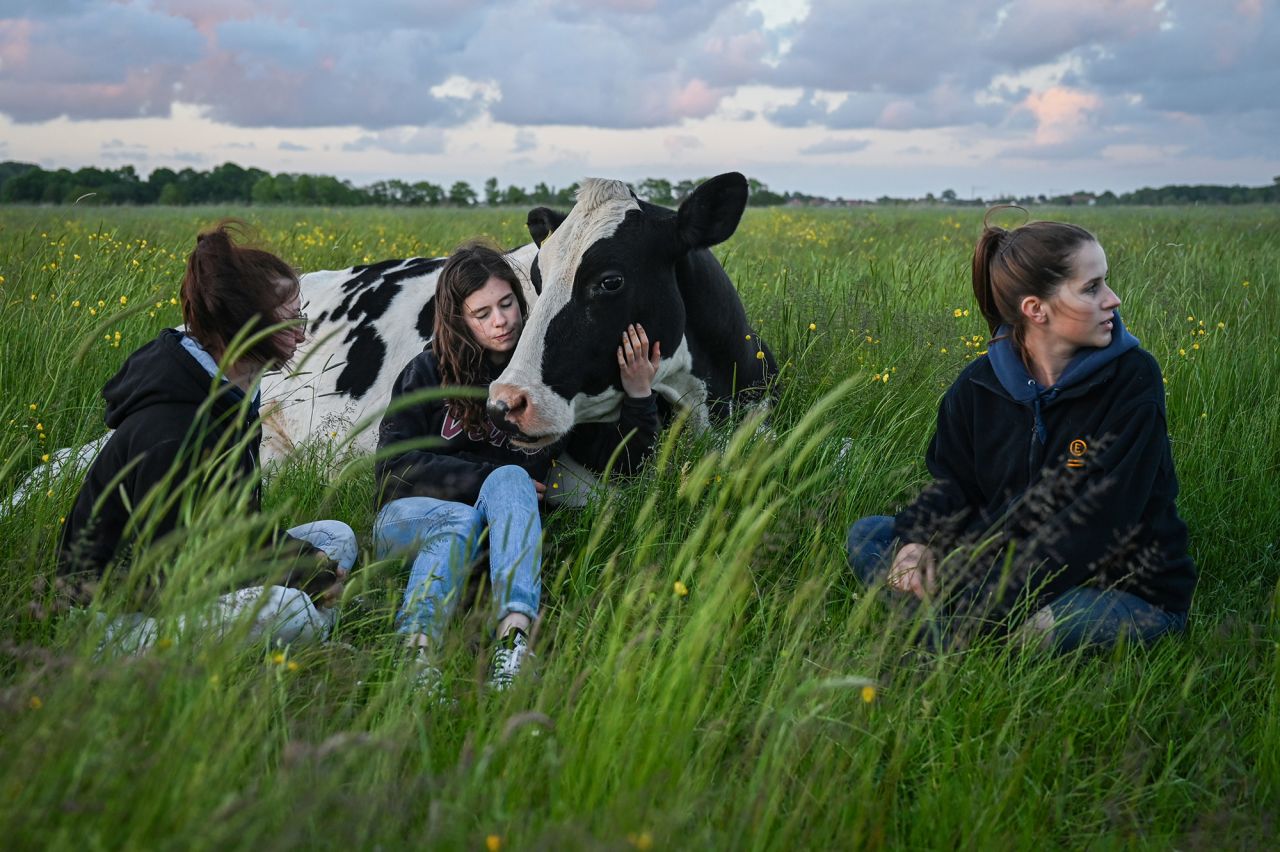 <strong>Lena Mucha, based in Munich, Germany and Bogota, Colombia:</strong> On a summer evening in June, Kristina Berning, 21, holds her cow Ellie with her sisters Celine (left) and Michelle, (right) sitting next to them. Kristina grew up with Ellie on her father's conventional dairy farm, where she established a personal relationship with Ellie. When the cow was too old to produce milk anymore and was supposed to be slaughtered, Kristina found out about Hof Butenland, a retirement farm for cows and other animals in northern Germany.  <br /> <br />Conventional milk cows only live 5 or 6 years. When I met Ellie, she was 13 and had been at Hof Butenland for 6 years. The cow suffered from arthrosis and heart problems. Two days after I took this photo, Ellie died. <br />  <br />I was so impressed by the relationship between Ellie and Kristina. Their connection really touched me. The photograph is about questioning our high consumption of animal products in a time when there is no need for it anymore.  I spent two days on a farm where animals are left in peace without the need to produce anything. 