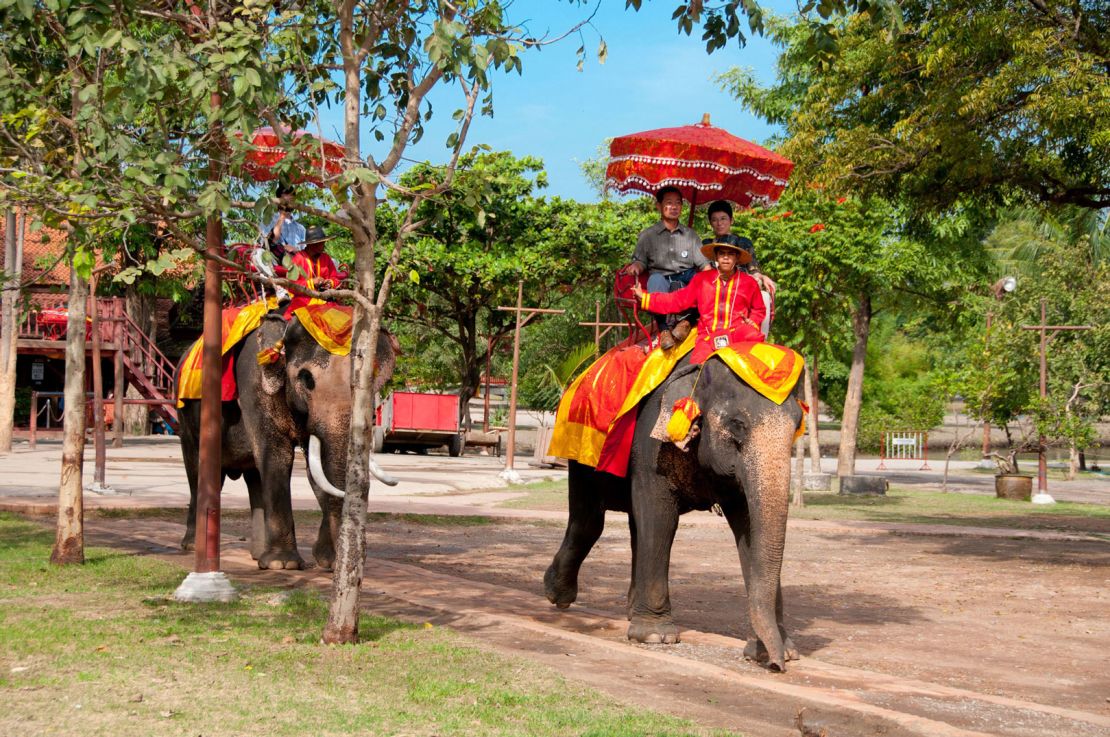 Tourists ride elephants in Ayutthaya, Thailand. 