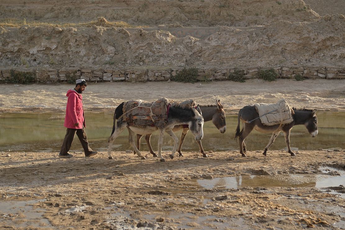 A man leads his donkeys through a parched field in Bala Murghab, Badghis province, Afghanistan, on October 15.