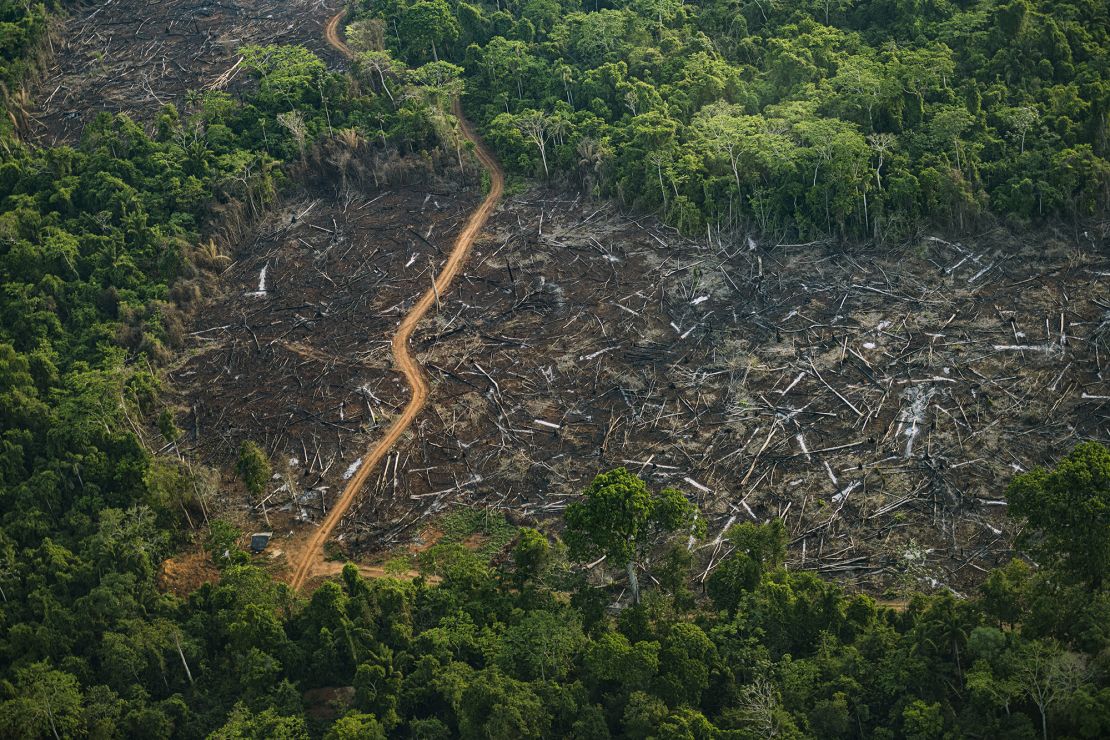 Illegal logging as seen from above in Kaiapó Indigenous land on September 22.

