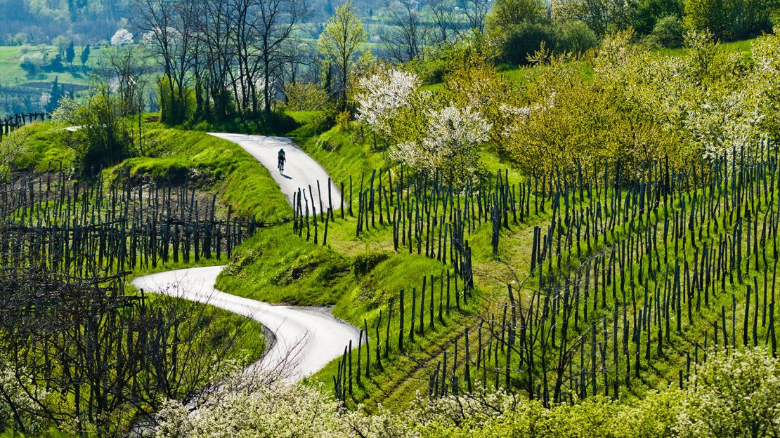 Slovenia's wines are seriously underrated.