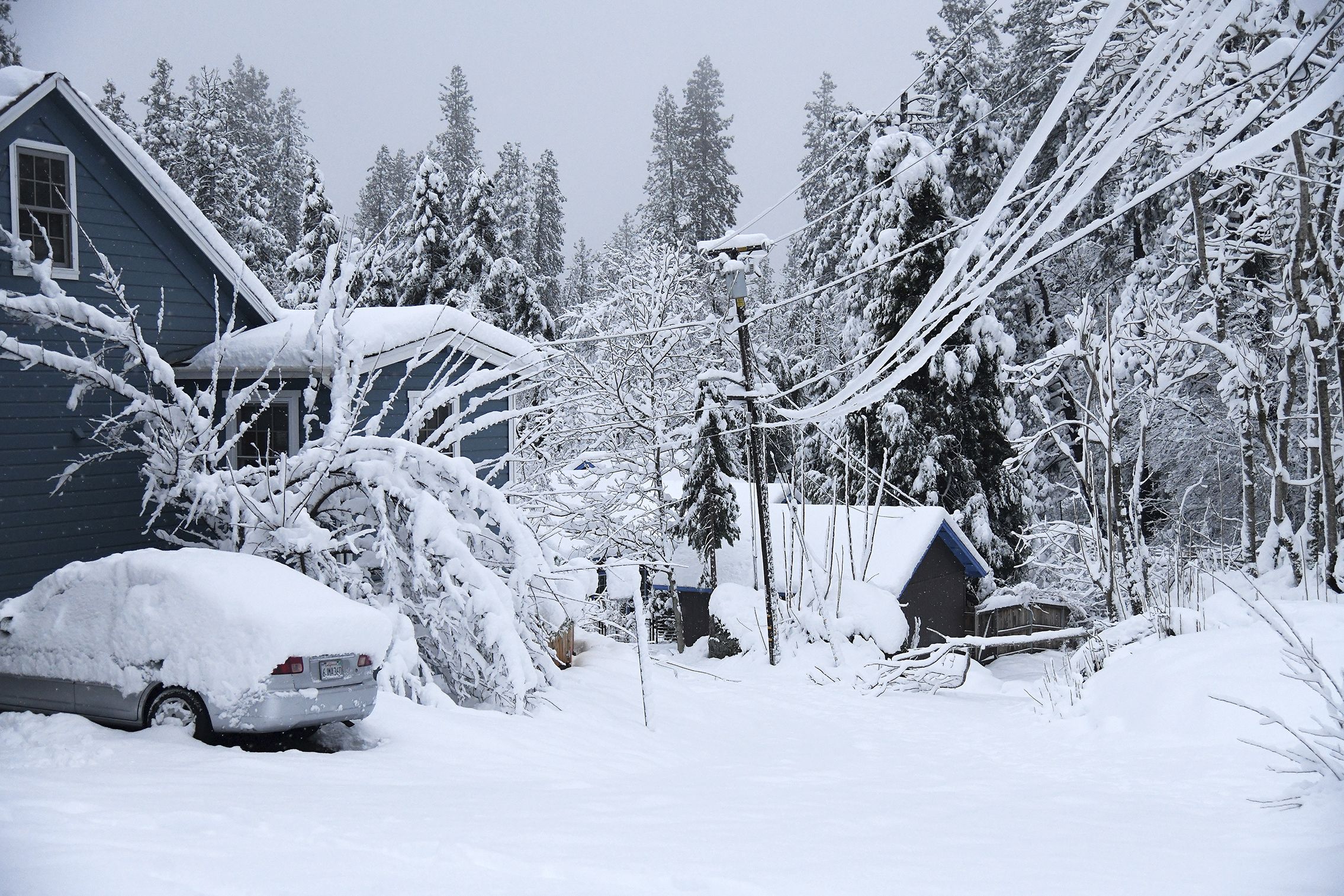 Winter in the Northwest: Surviving today and after the snow melts