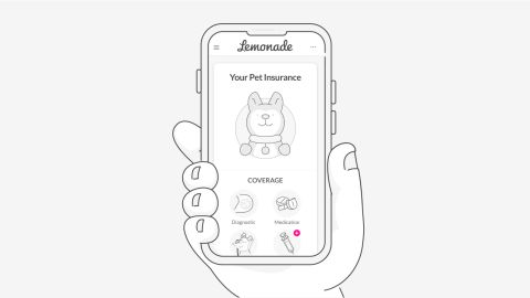 lemonade-pet-insurance 1