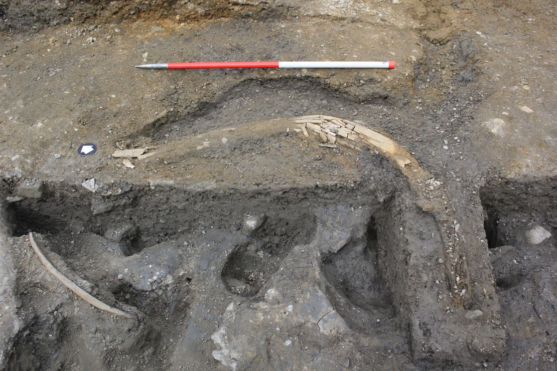 Research continues to determine why there are so many mammoth remains, like this tusk, at the site.