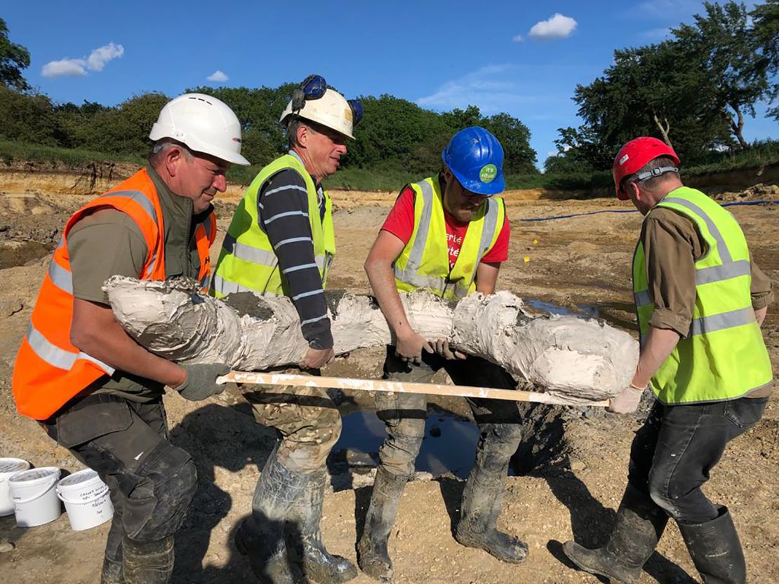The site was excavated both in 2019 and 2021, uncovering the tusks of multiple mammoths.