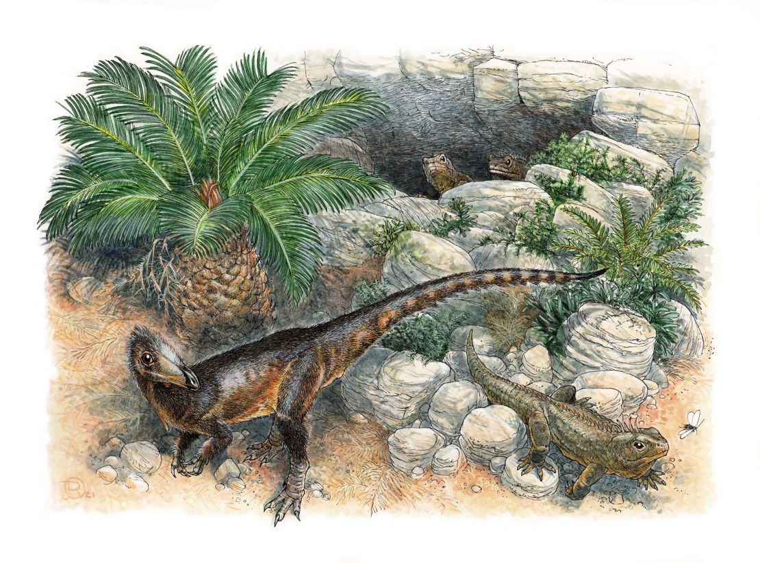 This illustration shows Pendraig milnerae, the earliest carnivorous dinosaur from the UK. 