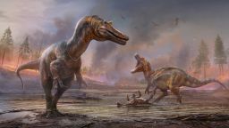 Spinosaurs. Two new species of spinosaurid dinosaurs discovered on the Isle of Wight, named 'Hell heron' and 'Riverbank hunter'. 