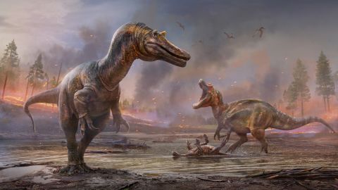 Two new species of spinosaurid dinosaurs were discovered from fossils found on the Isle of Wight: one named "hell heron" and the other the "riverbank hunter."