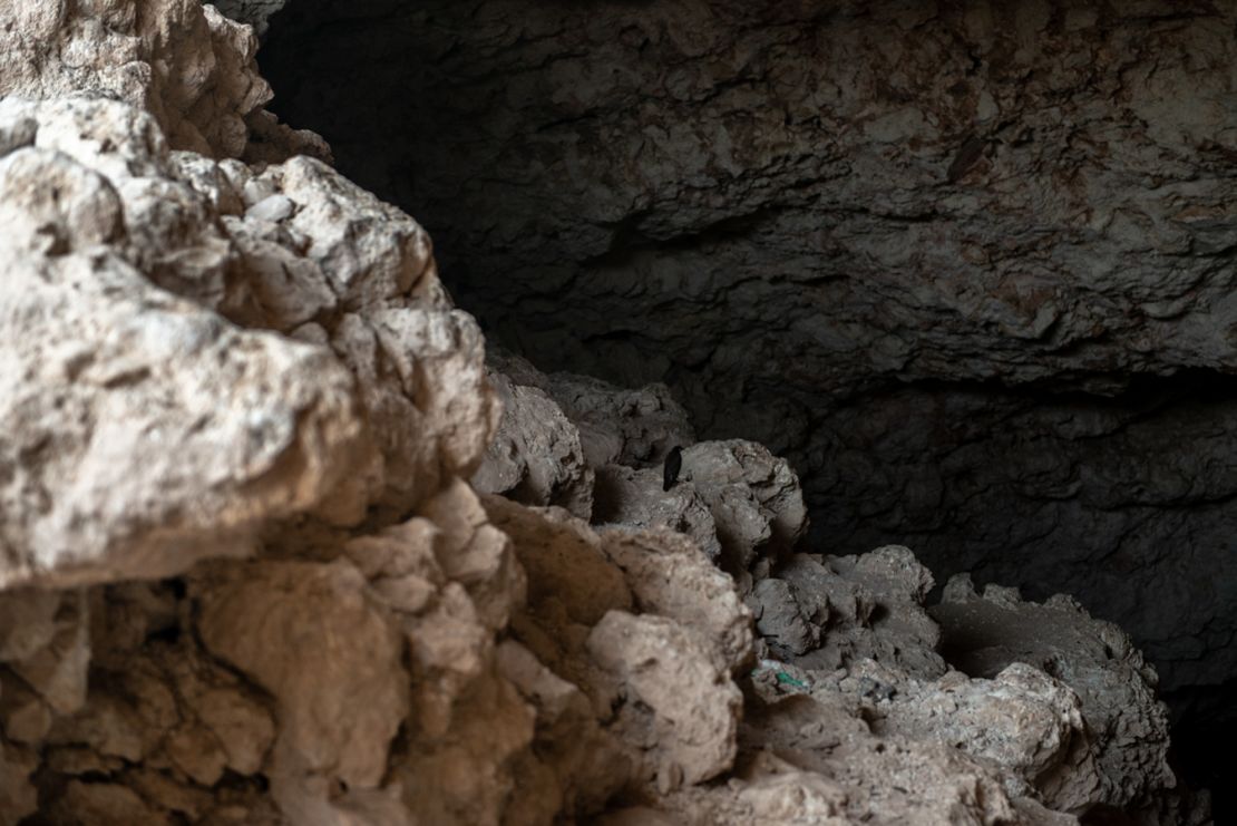 Birds can often be spotted in the rugged chasm.